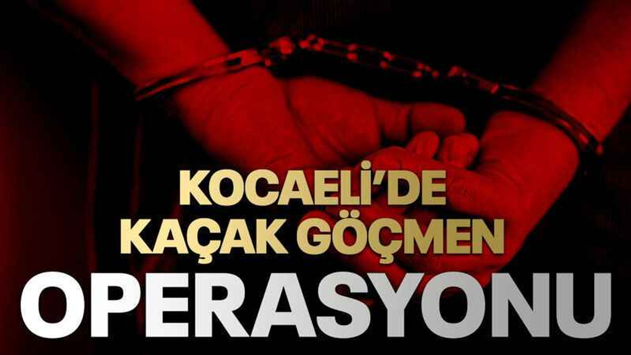 Kocaeli’de kaçak göçmen operasyonu